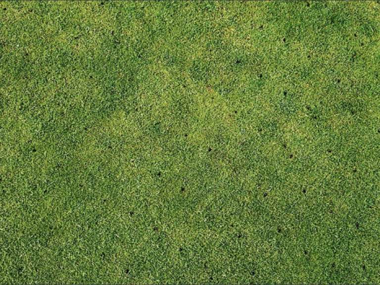 Memphis and the MidSouth Lawn Care Company Beauty Lawn Spray, Inc.