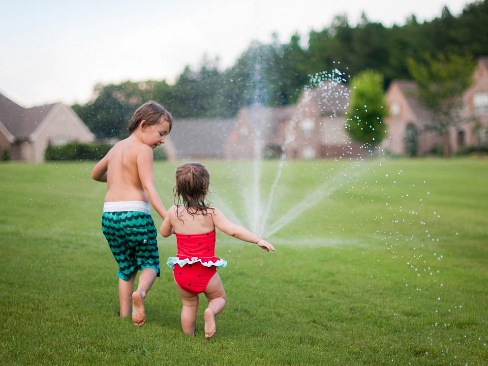 Memphis and the MidSouth Lawn Care Company Beauty Lawn Spray, Inc.