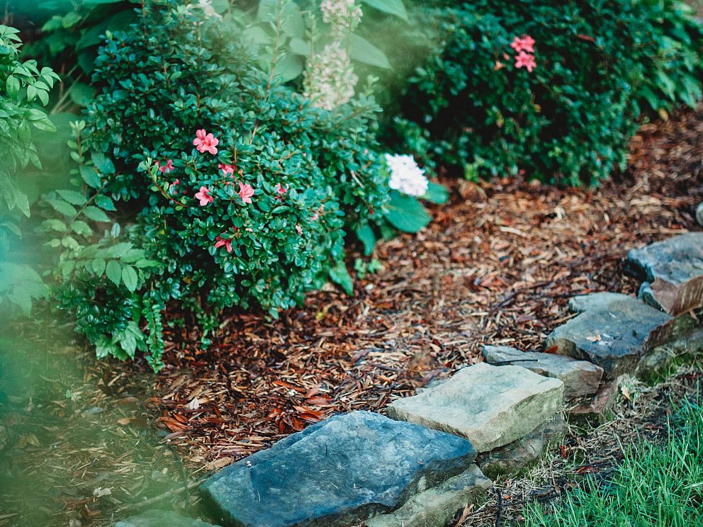 Memphis and the MidSouth Lawn Care Company Beauty Lawn Spray, Inc.